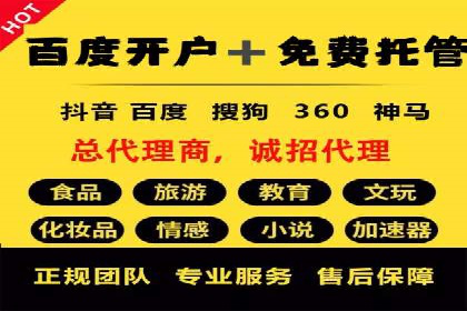 案例研究：SEM代运营服务公司的创新策略